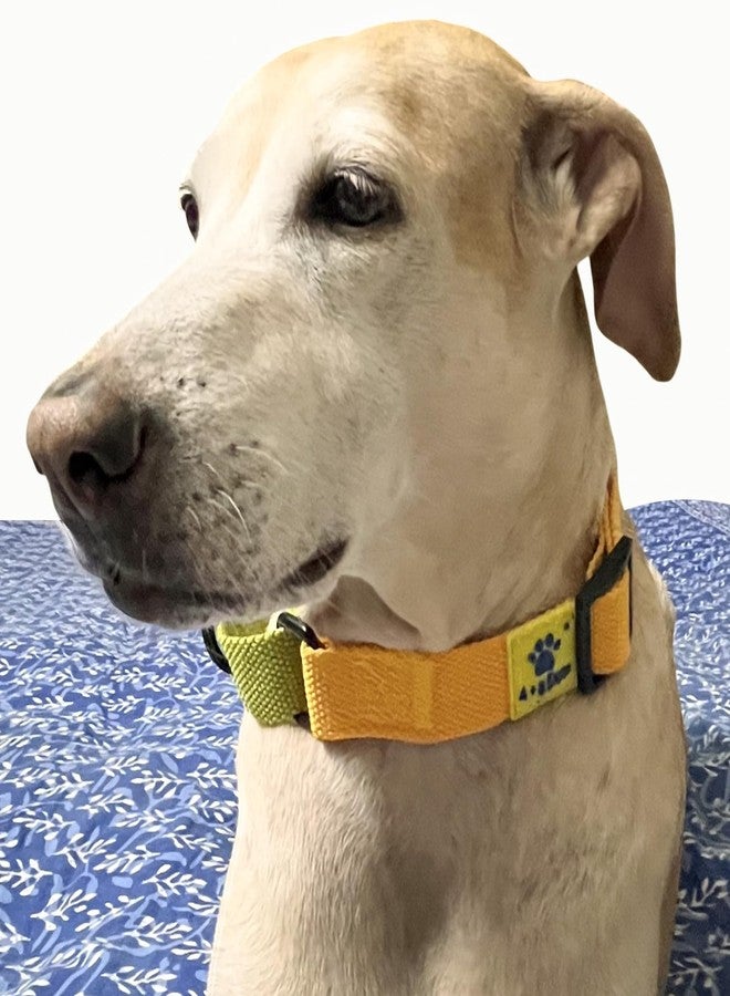 A+a Pets Martingale Dog Collar | No Pull Design, No Neck Strain, No Choke Design | for Large & Medium Dogs | Rust Free, Cotton Training Collar (Mango & Green), 20 x 2.5 cm - Image 3